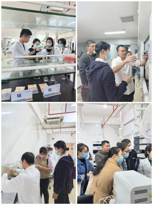 提升專業技能，守護食品安全——海南省食品安全協會成功舉辦2024年度食品檢驗員職業技能培訓班
